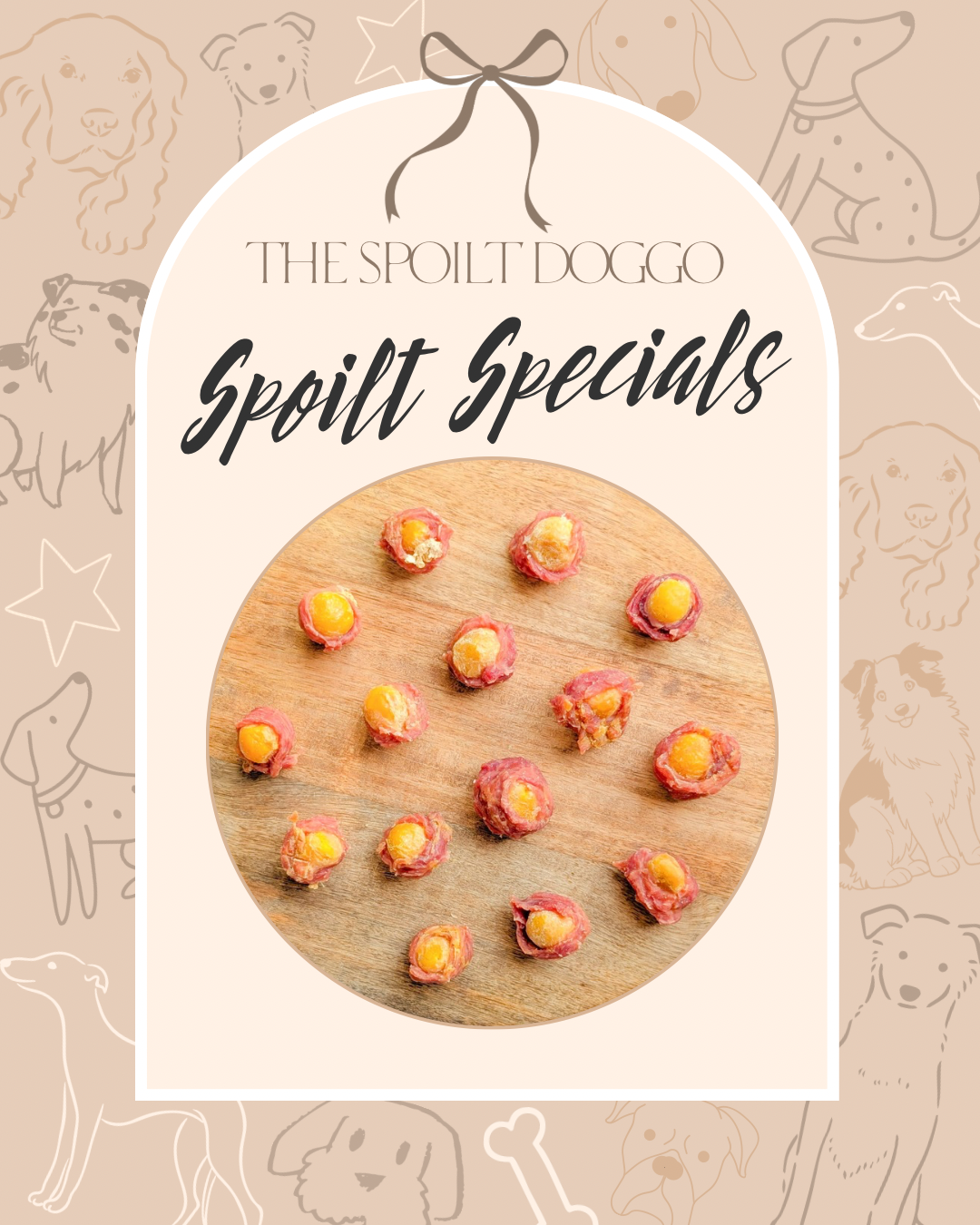 🐾✨ SPOILT SPECIALS ✨🐾