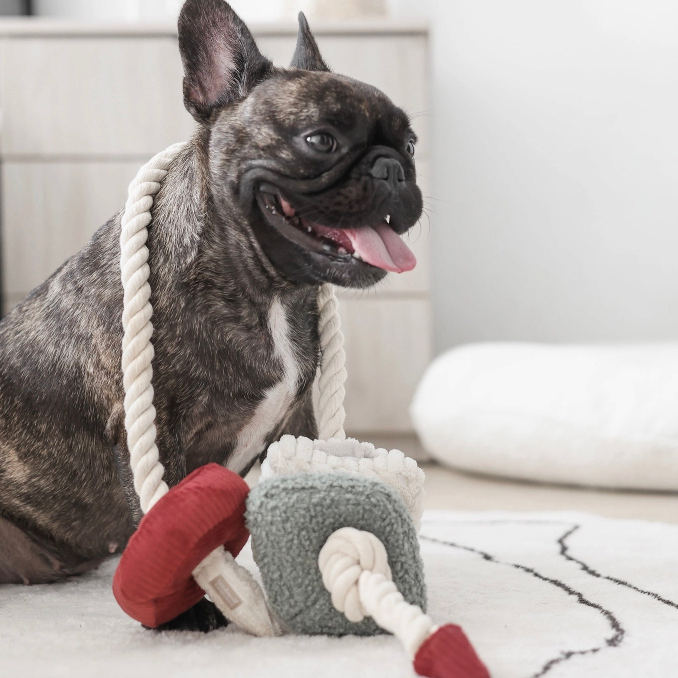 Lambwolf | Christmas Blocs | Interactive Enrichment Dog Toy