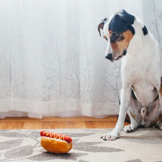 P.L.A.Y | American Classic Hot Diggy Dog Hotdog Toy