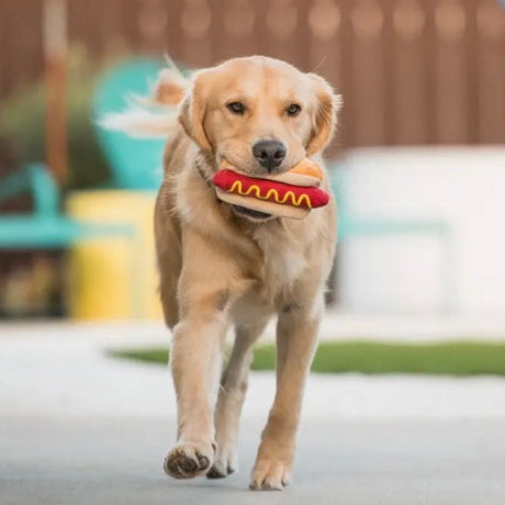 P.L.A.Y | American Classic Hot Diggy Dog Hotdog Toy
