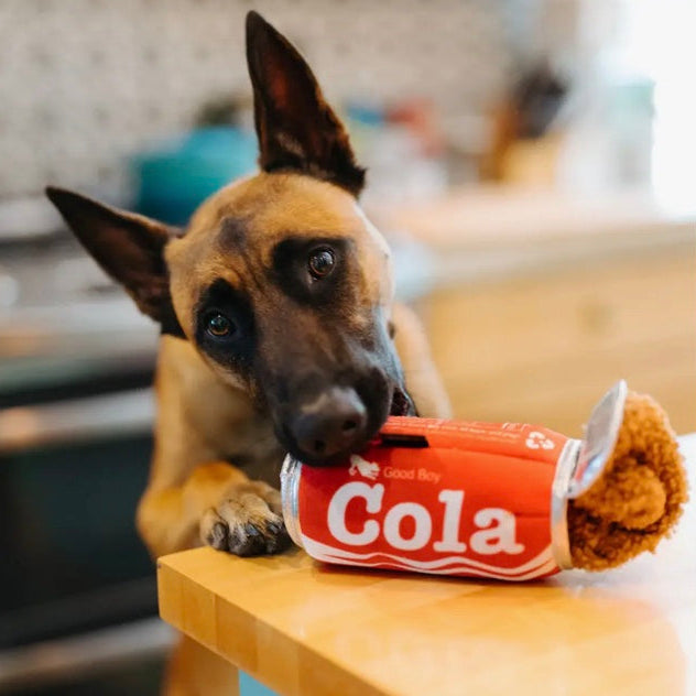 P.L.A.Y | Snack Attack Cola Can Enrichment Toy | 2 Sizes