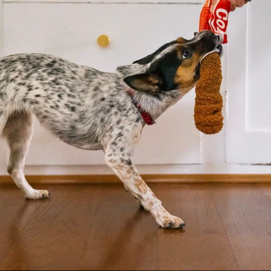 P.L.A.Y | Snack Attack Cola Can Enrichment Toy | 2 Sizes