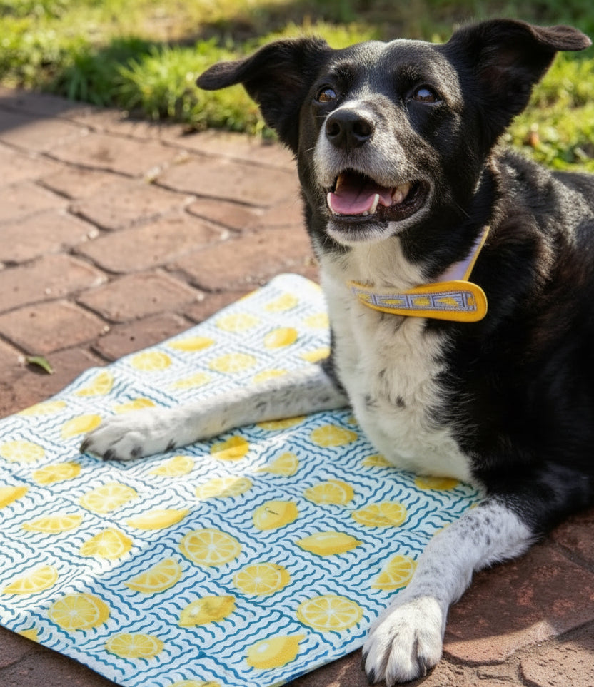Lemon Print Cooling Mat