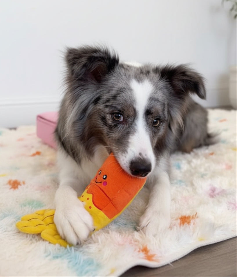 ZippyPaws Jigglerz® Summer Ice Lolly