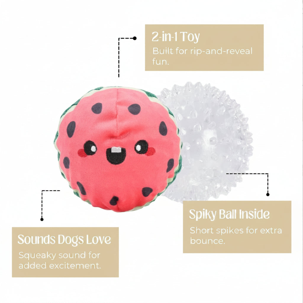 Hugsmart Summer Fruit Ball Toys