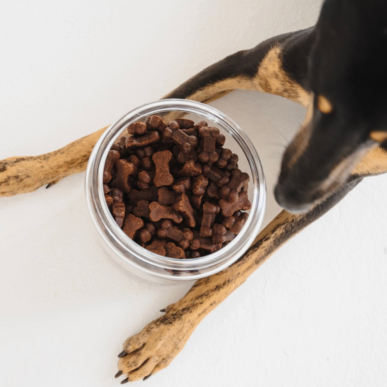 Gizzls Calming Hemp Soft Bites