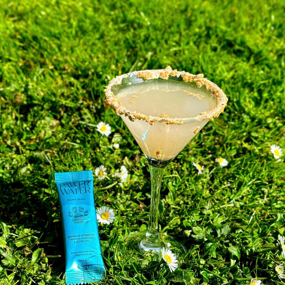 Pawer Water Advanced Wellness Hydration | Joint Care & Glow