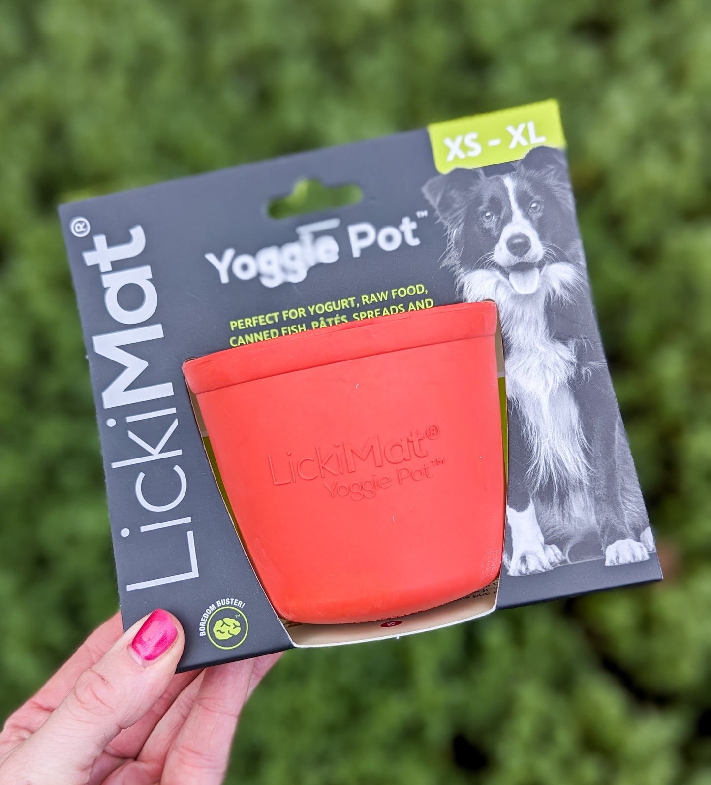 Yoggie Pot | Enrichment Slow Feeder | Fire