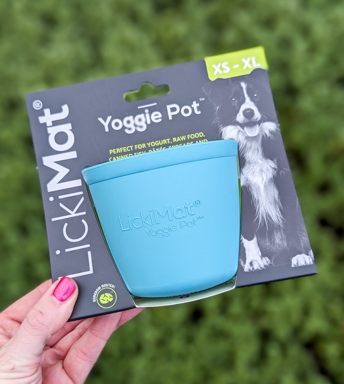 Yoggie Pot | Enrichment Slow Feeder | Aqua