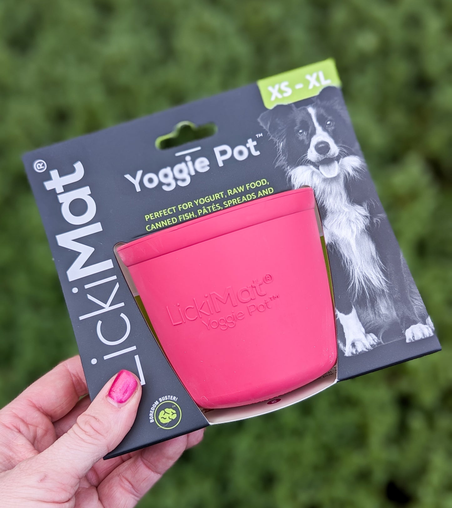 Yoggie Pot | Enrichment Slow Feeder | Hot