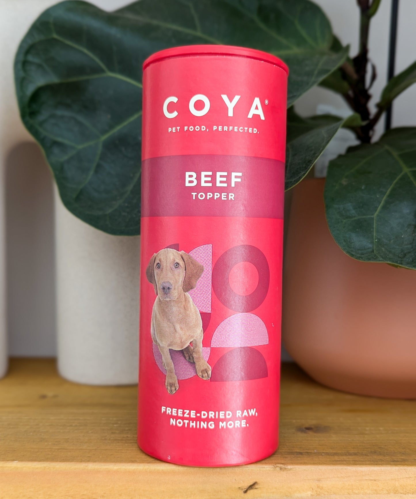 Coya Freeze-Dried Raw Tasty Toppers | Beef