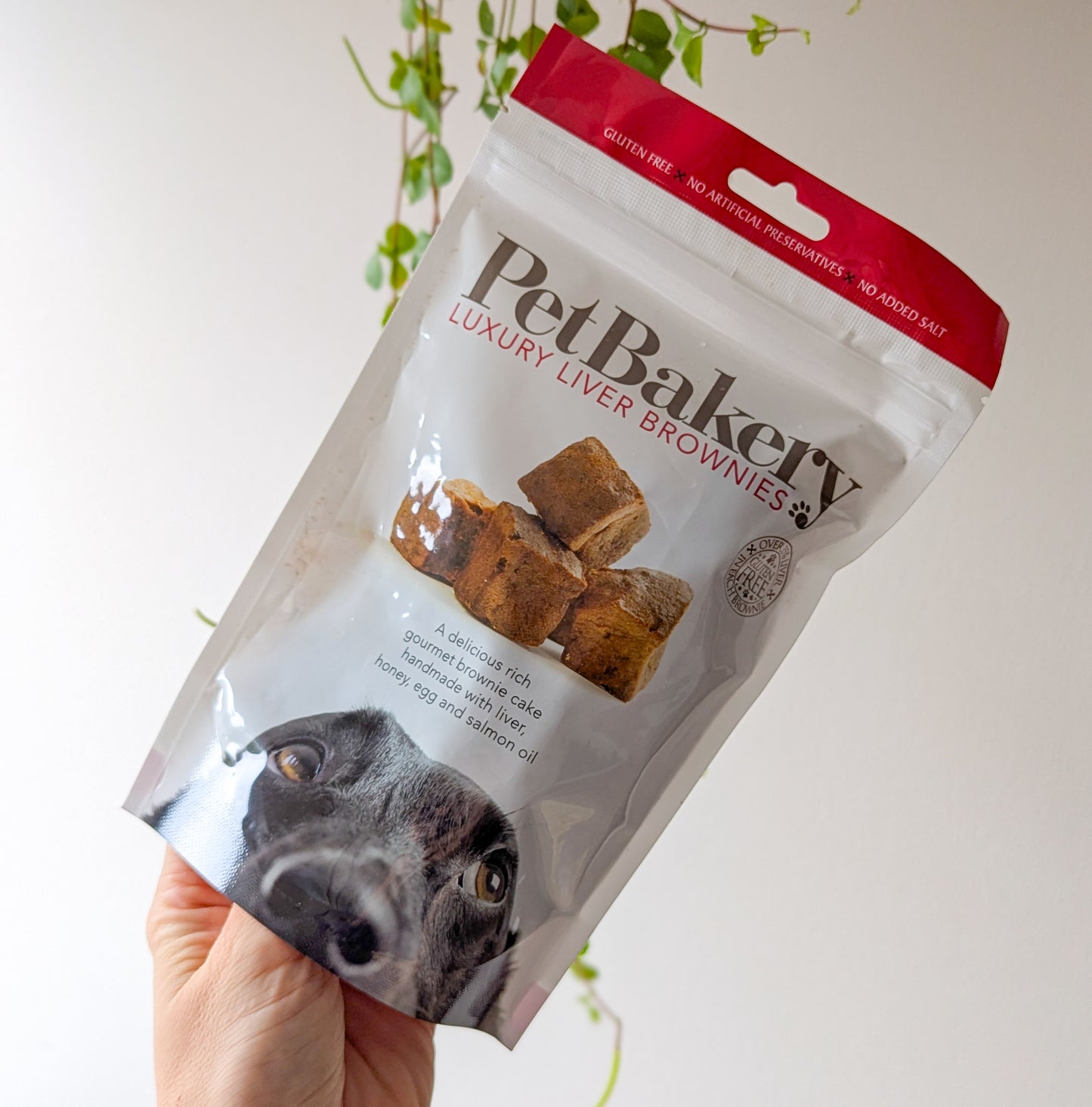 Pet Bakery | Luxury Liver Brownies