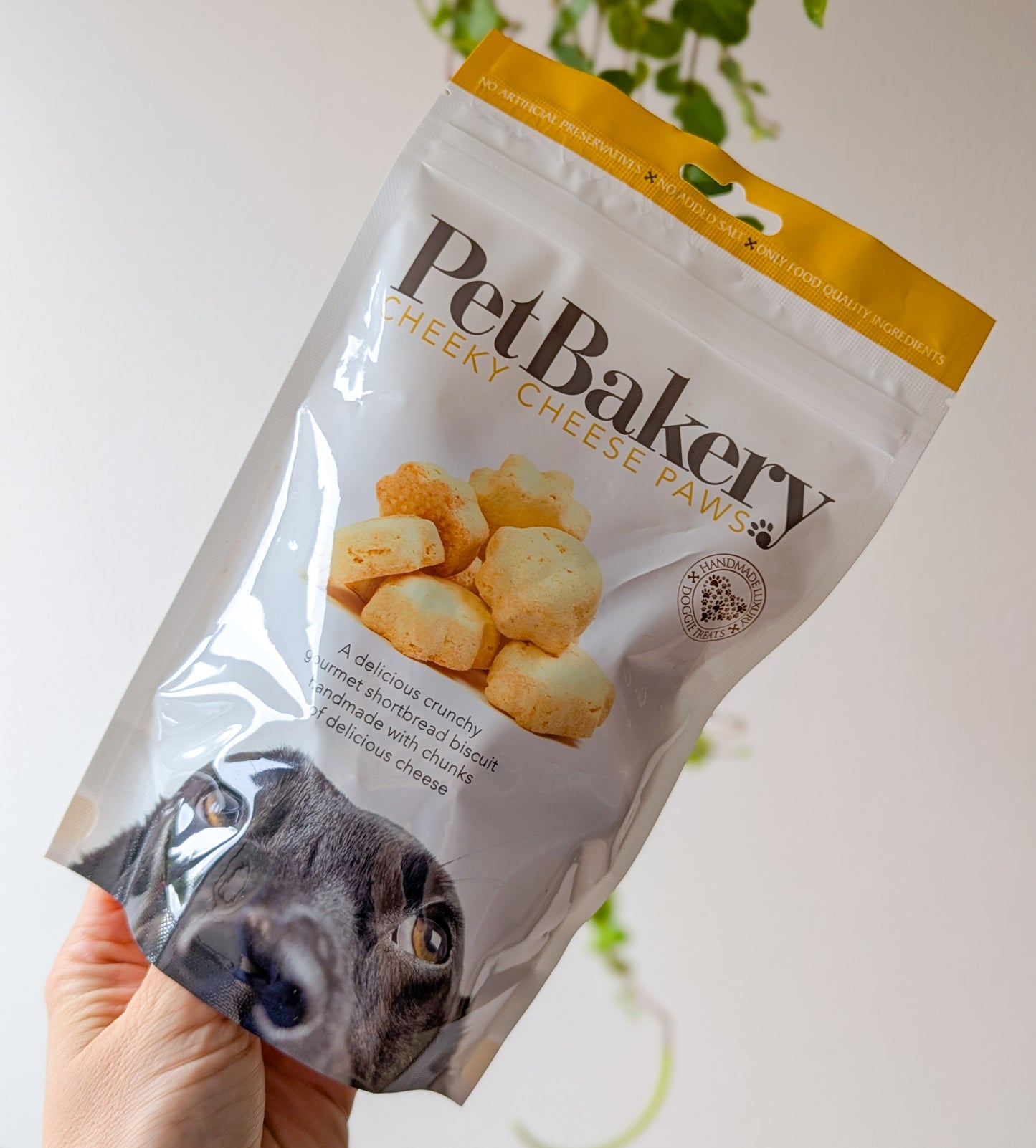 Pet Bakery | Cheeky Cheese Paws