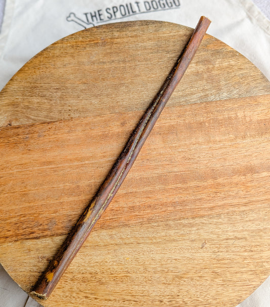 Pizzle Filled Collagen Cigar | Large