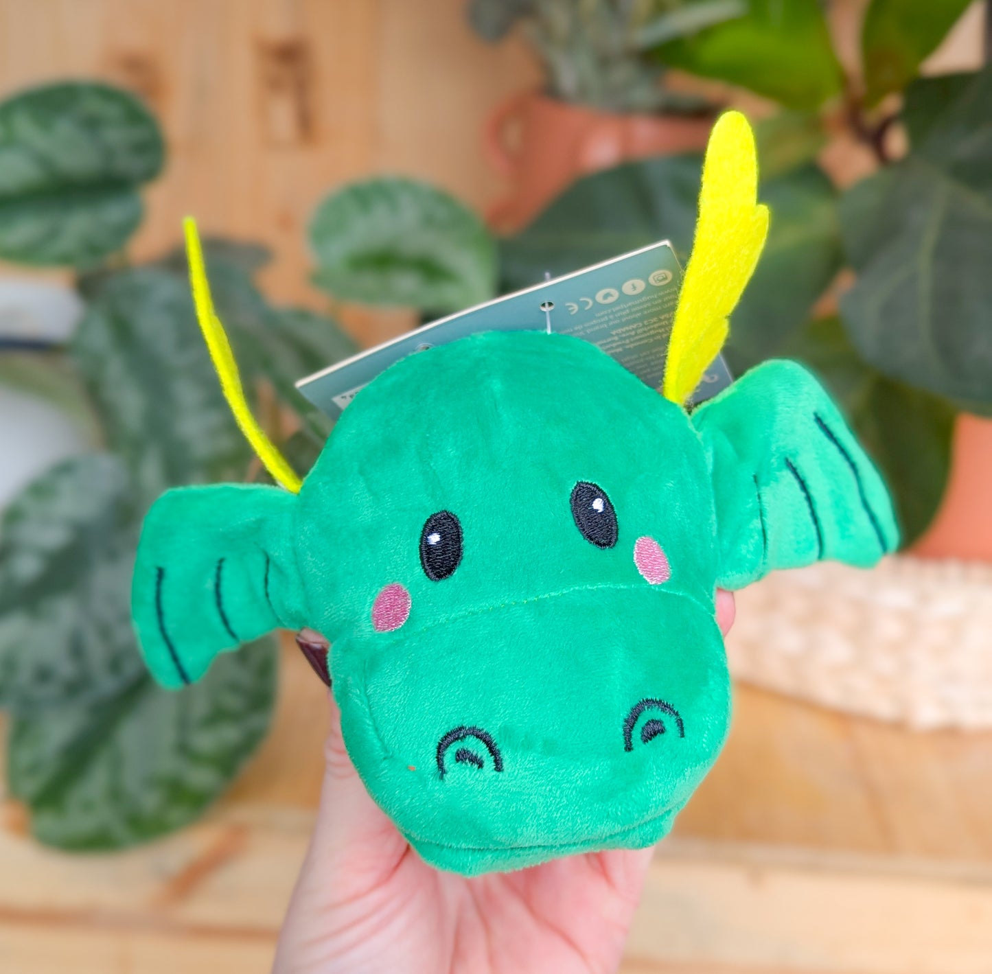 Hugsmart Ball Toy | Dragon