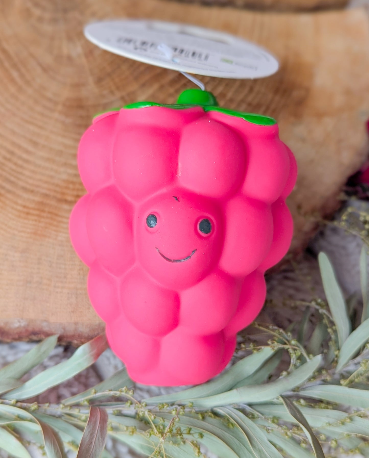 Foody Faces Latex Toy | Raspberry | Small