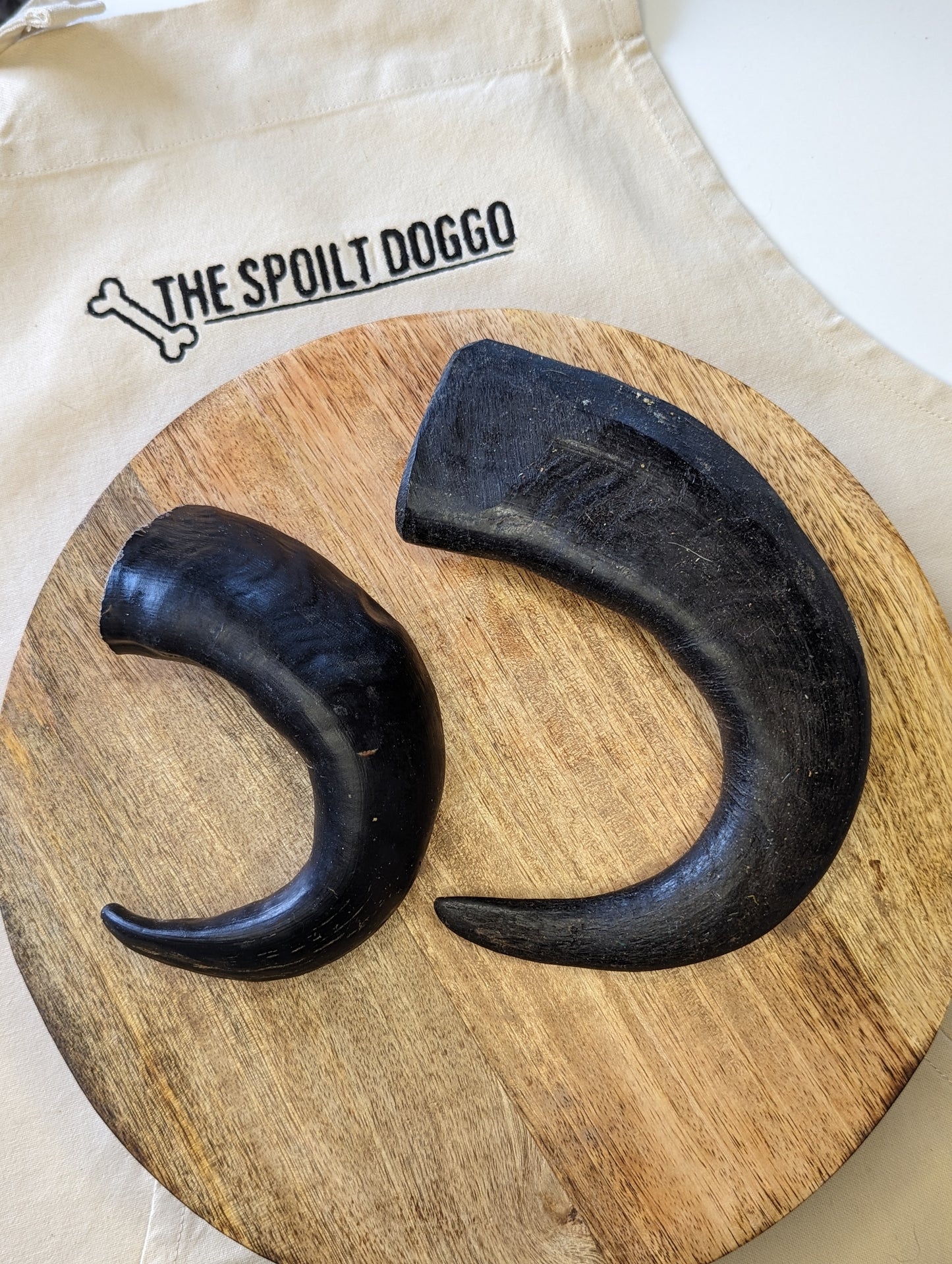 Buffalo Horns - Various Sizes