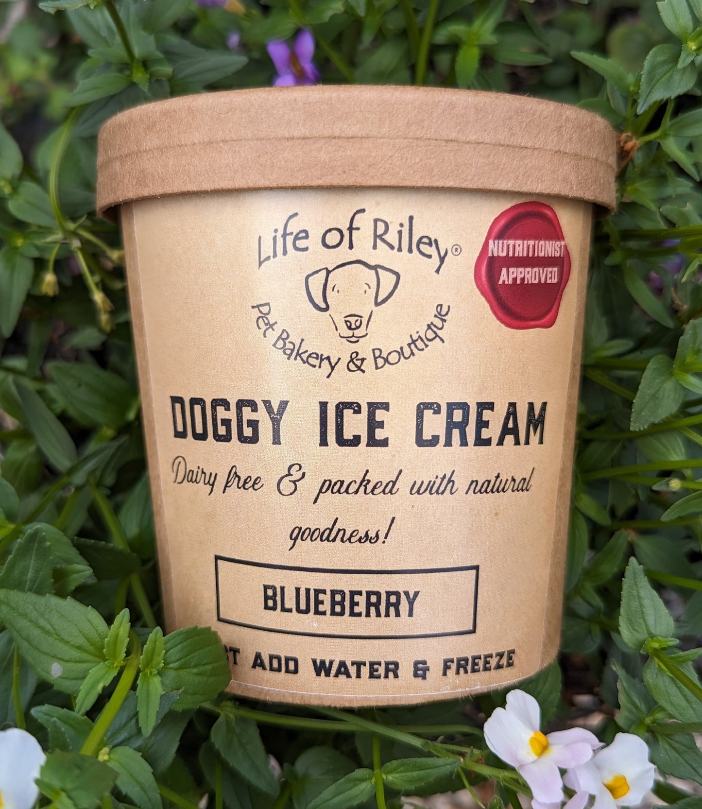 Doggy Ice Cream Mix & Make at Home Blueberry