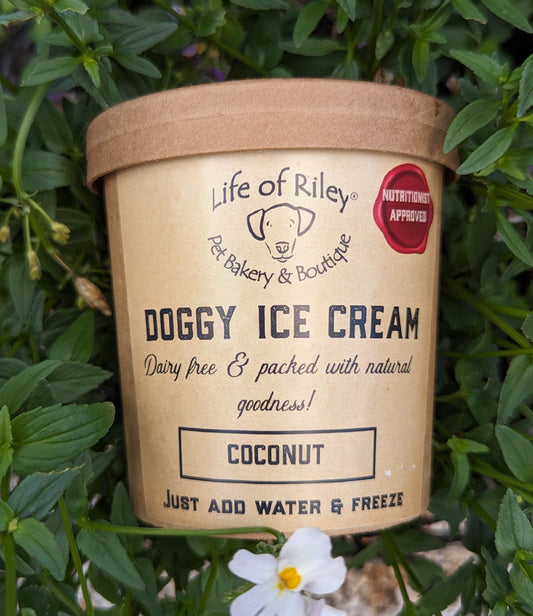 Doggy Ice Cream Mix & Make at Home Coconut