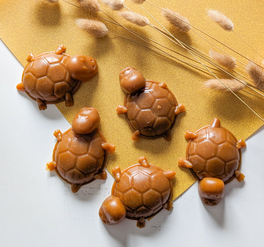 Peanut Butter Turtles