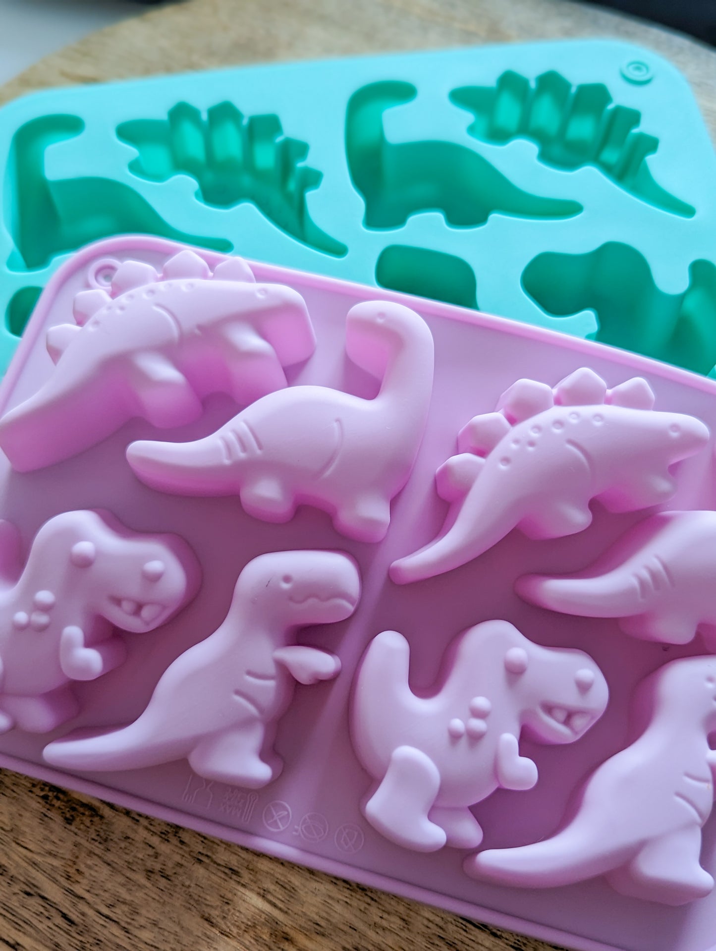 Dinosaur Moulds