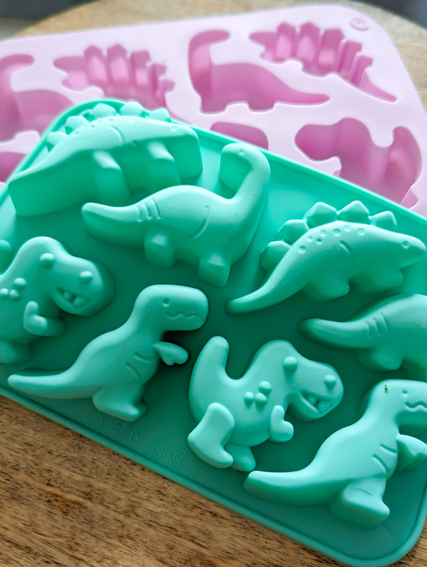 Dinosaur Moulds