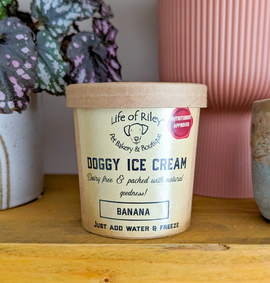 Doggy Ice Cream Mix & Make at Home Banana