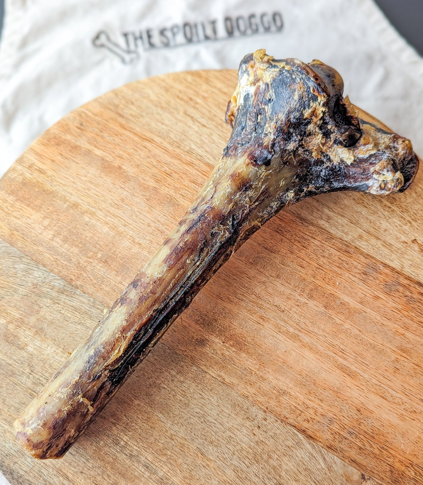 Ostrich Large Tibia Bone