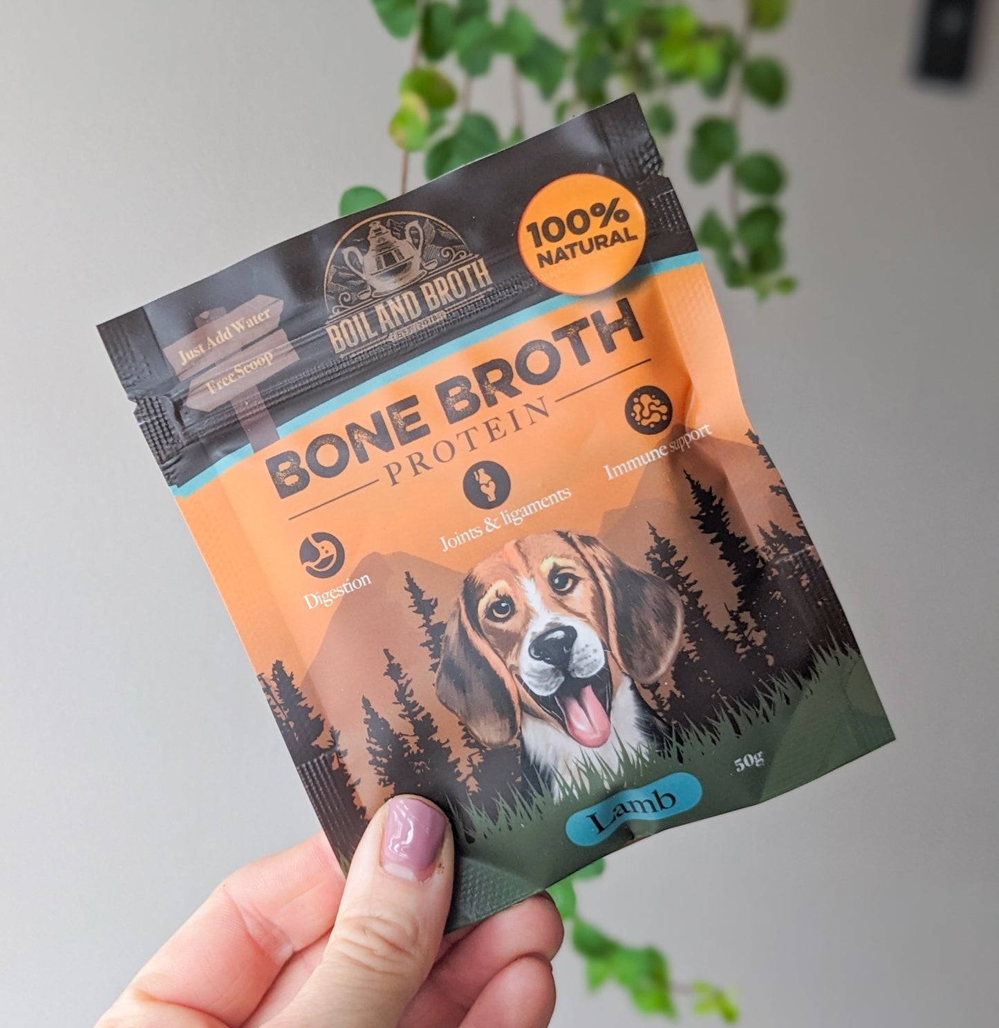 Boil & Broth Lamb Bone Broth