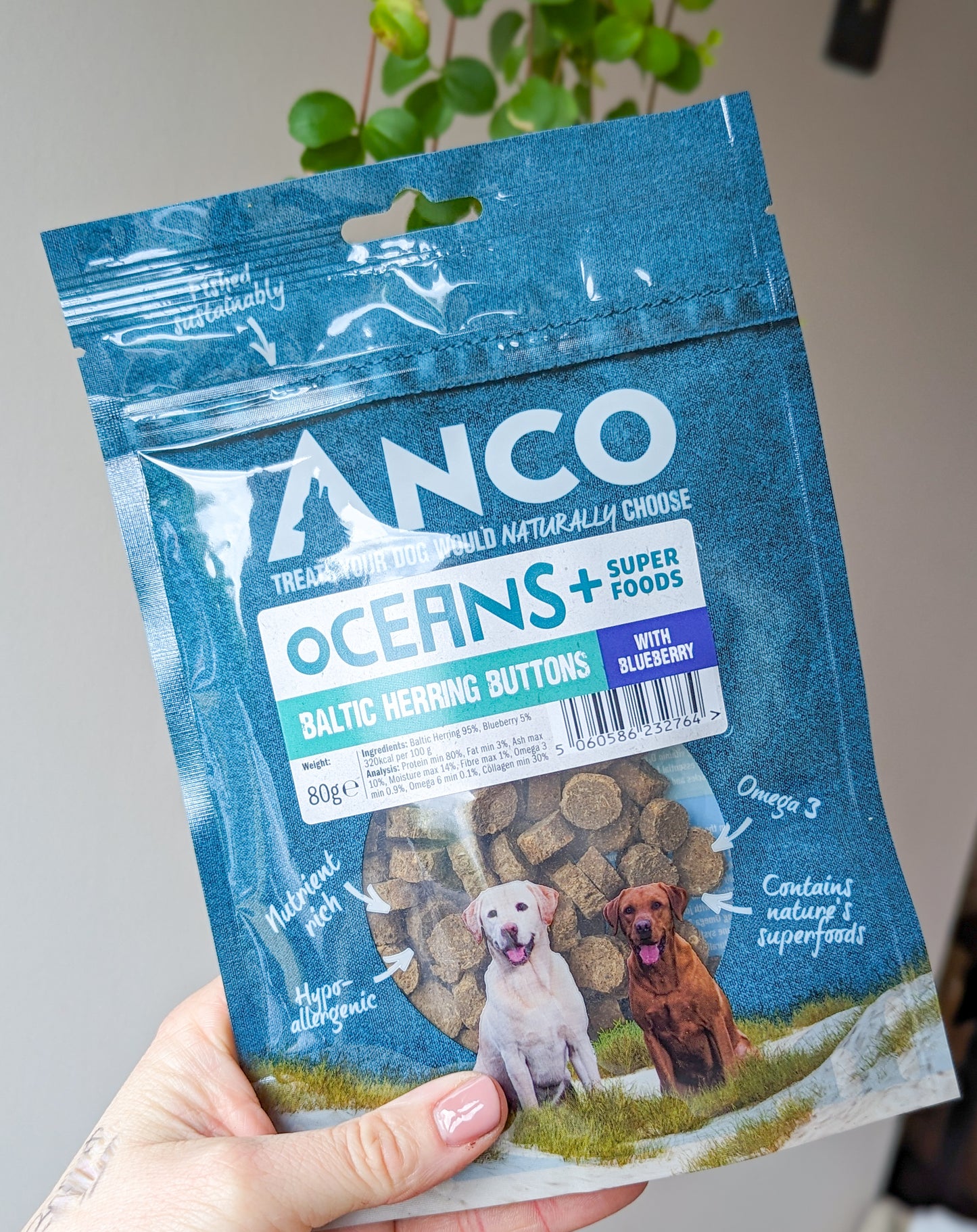 Anco Oceans+ Baltic Herring Buttons with Blueberry