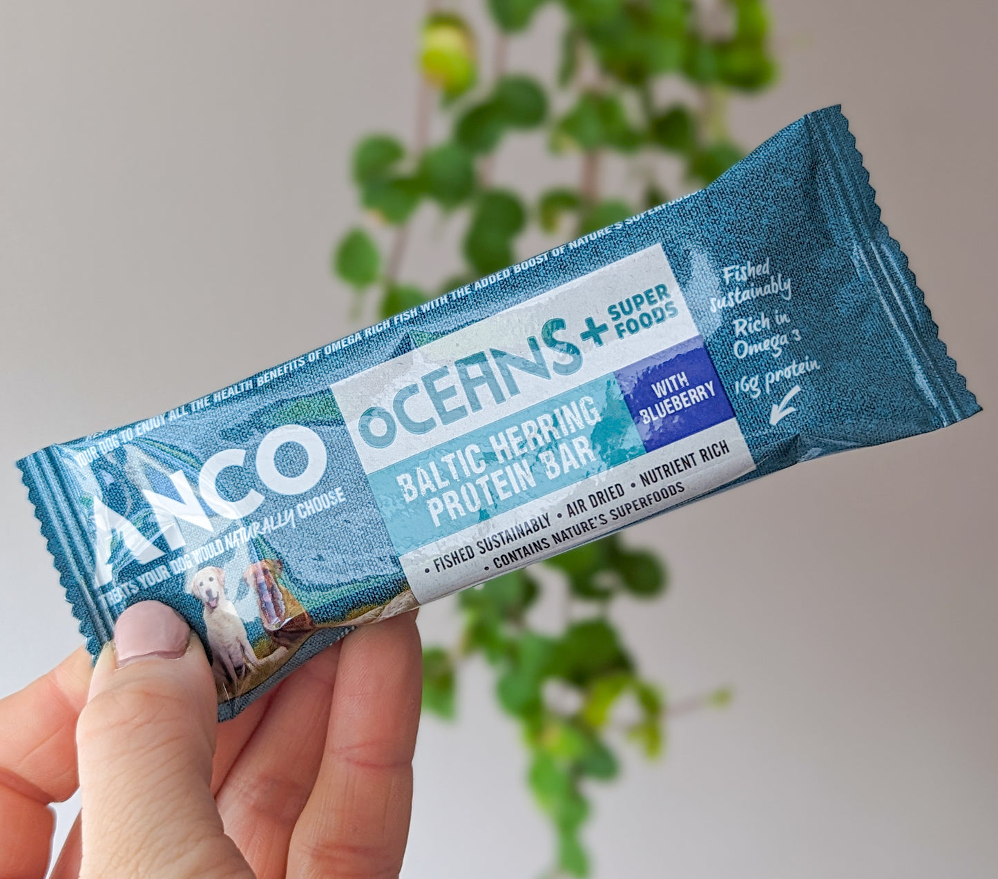 Anco Oceans+ Protein Bar with Blueberry