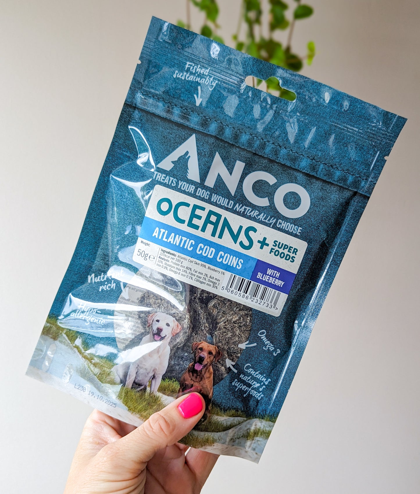 Anco Oceans+ Atlantic Cod Coins with Blueberry