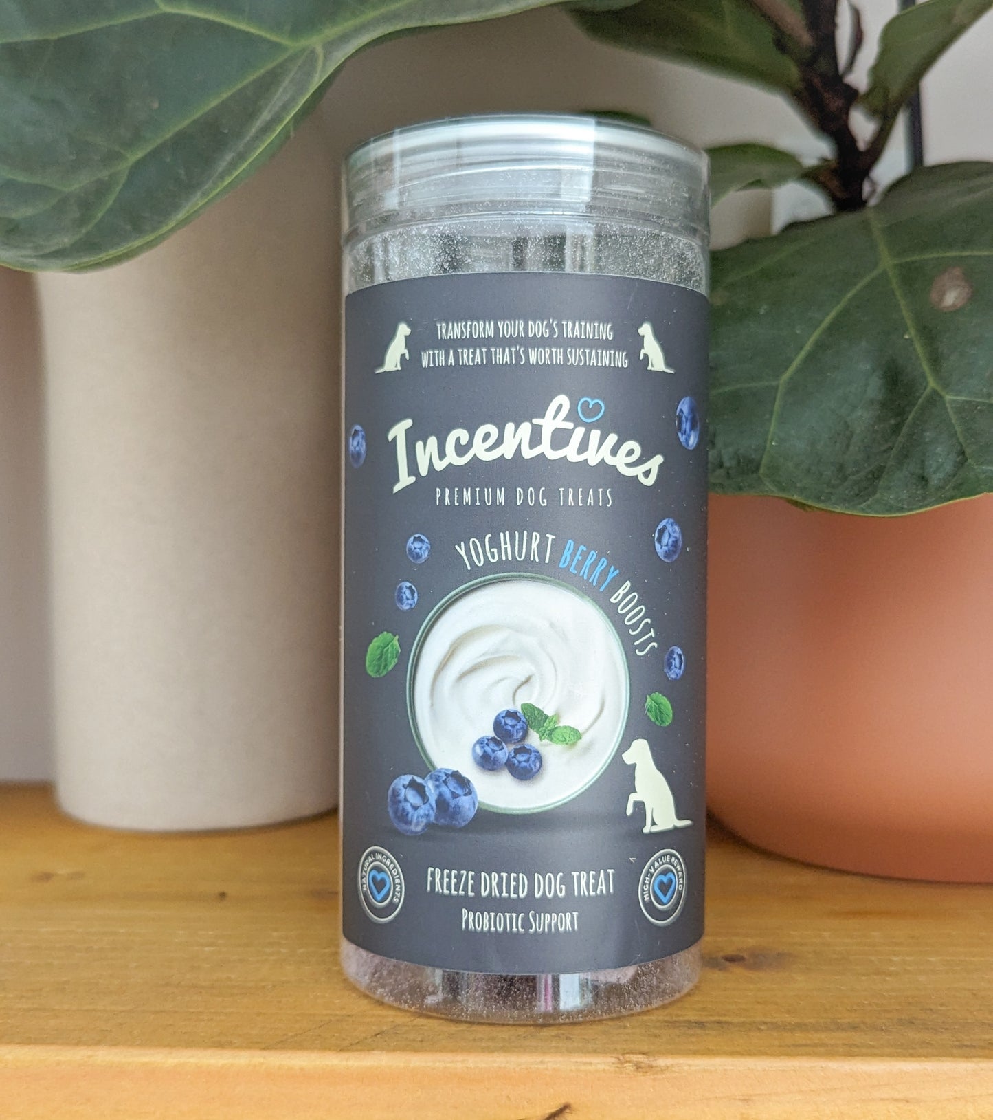 Incentives Yoghurt Berry Boosts | Freeze-Dried Treats