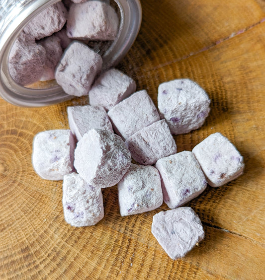 Incentives Yoghurt Berry Boosts | Freeze-Dried Treats