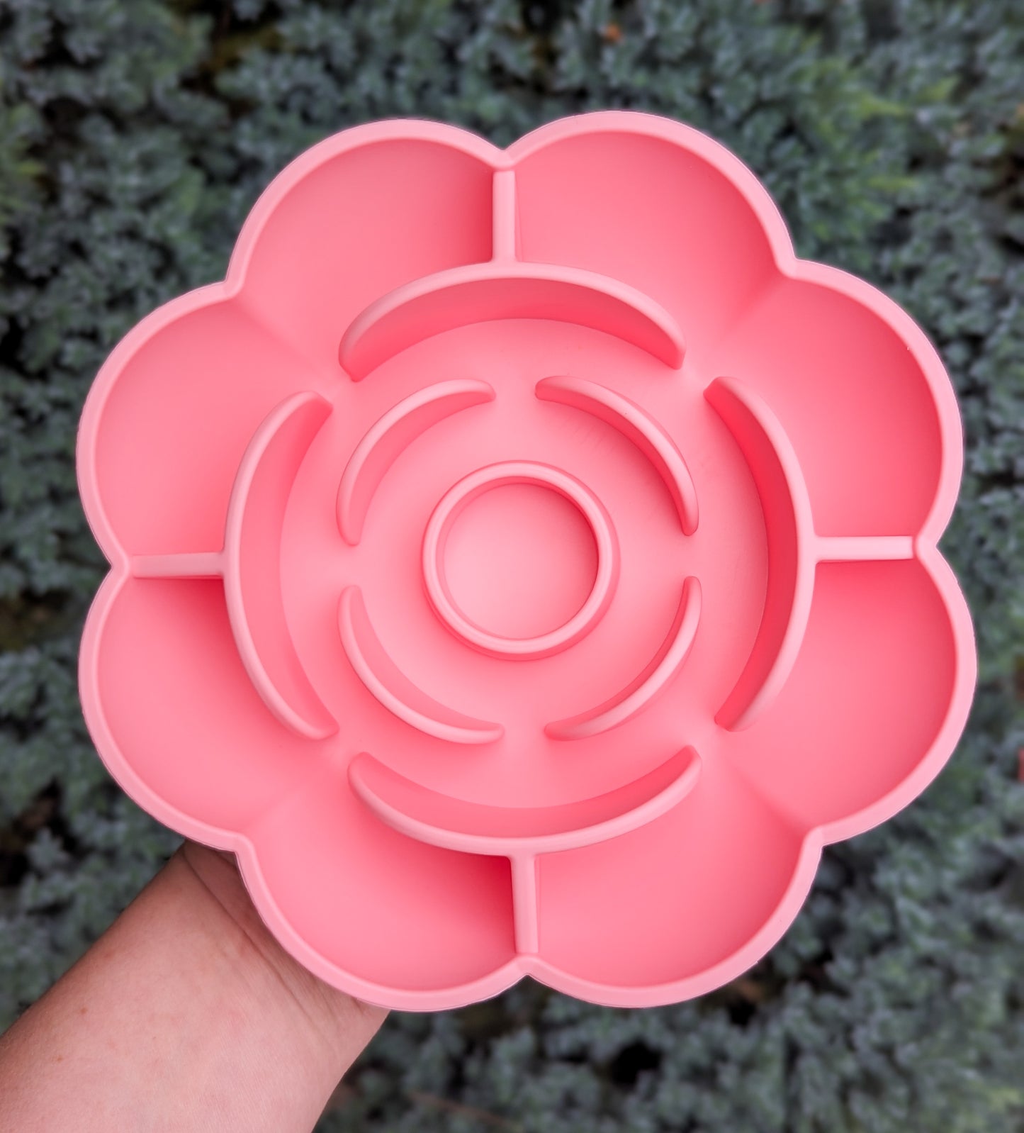 "In Bloom" Enrichment Bowl | Camellia