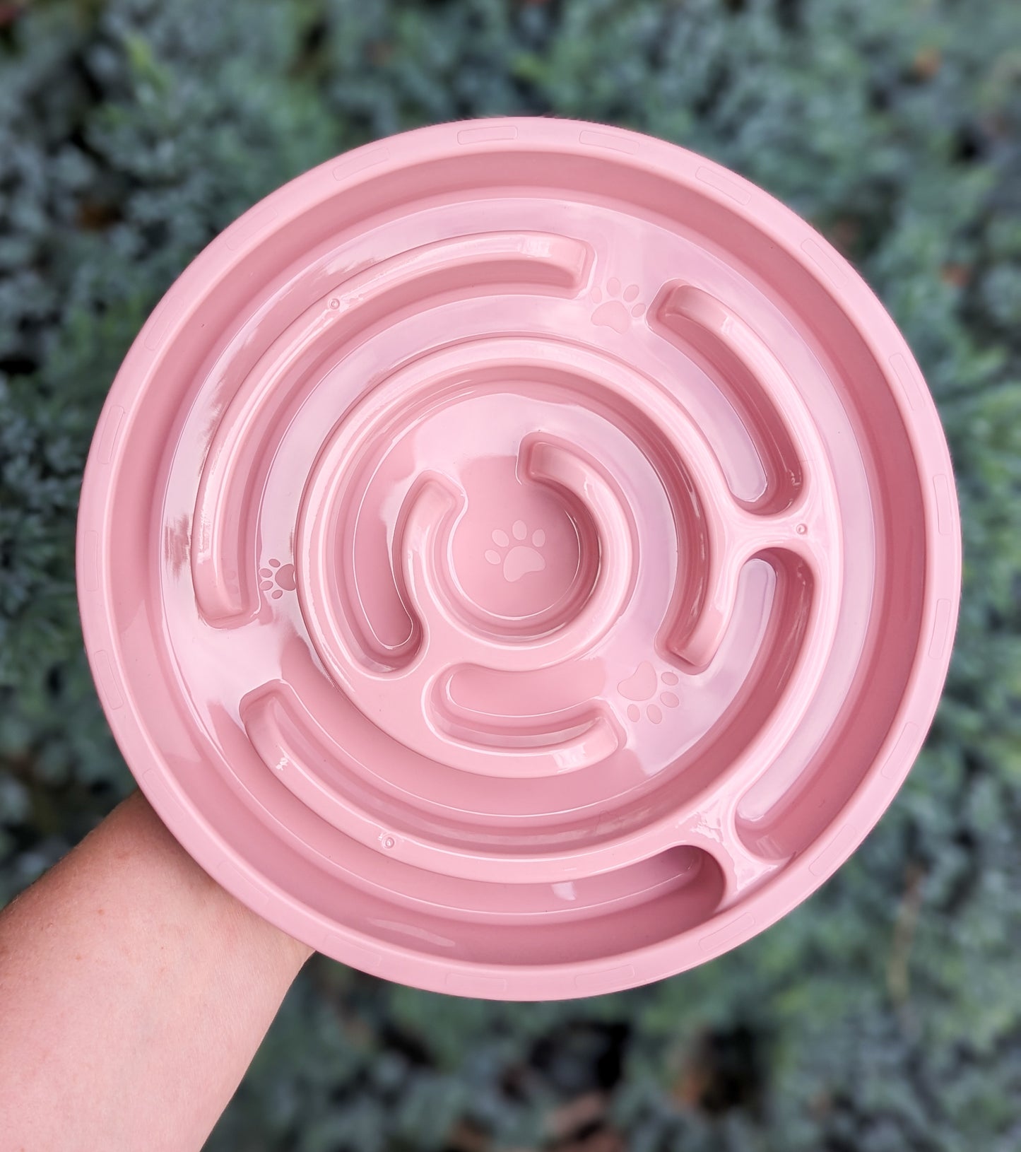 Maze Design Slow Feeder | Pink