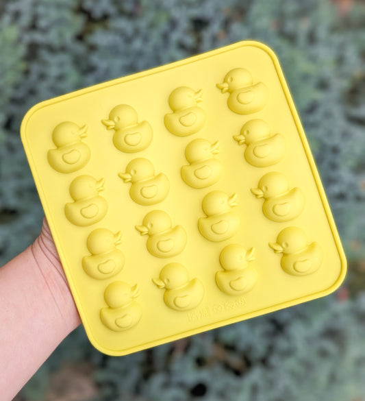 Rubber Ducky Moulds