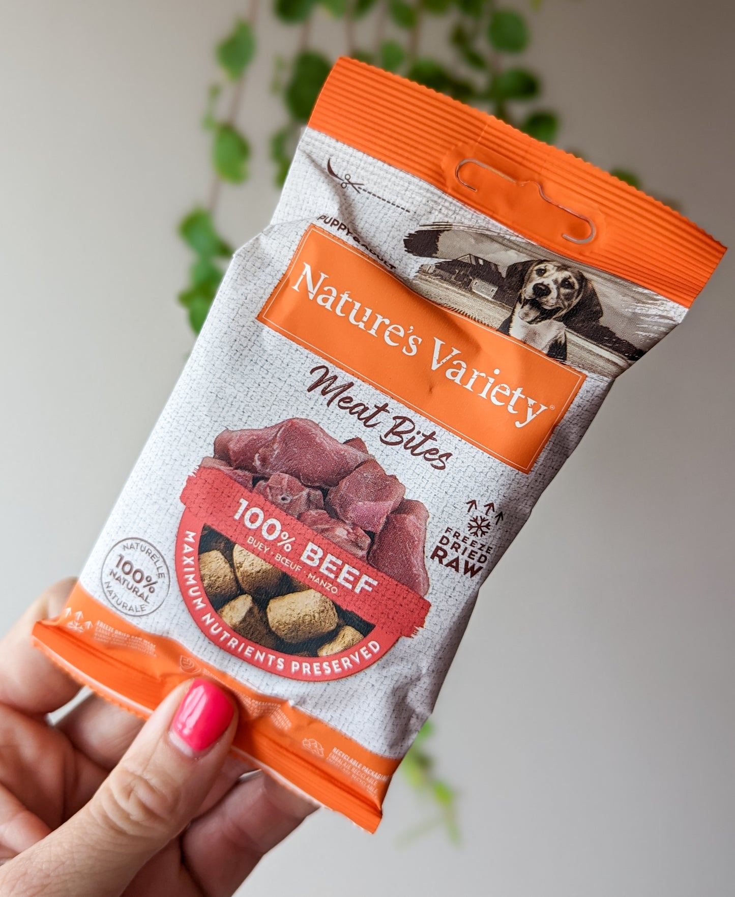 Natures Variety Freeze-Dried 100% Treats | Beef