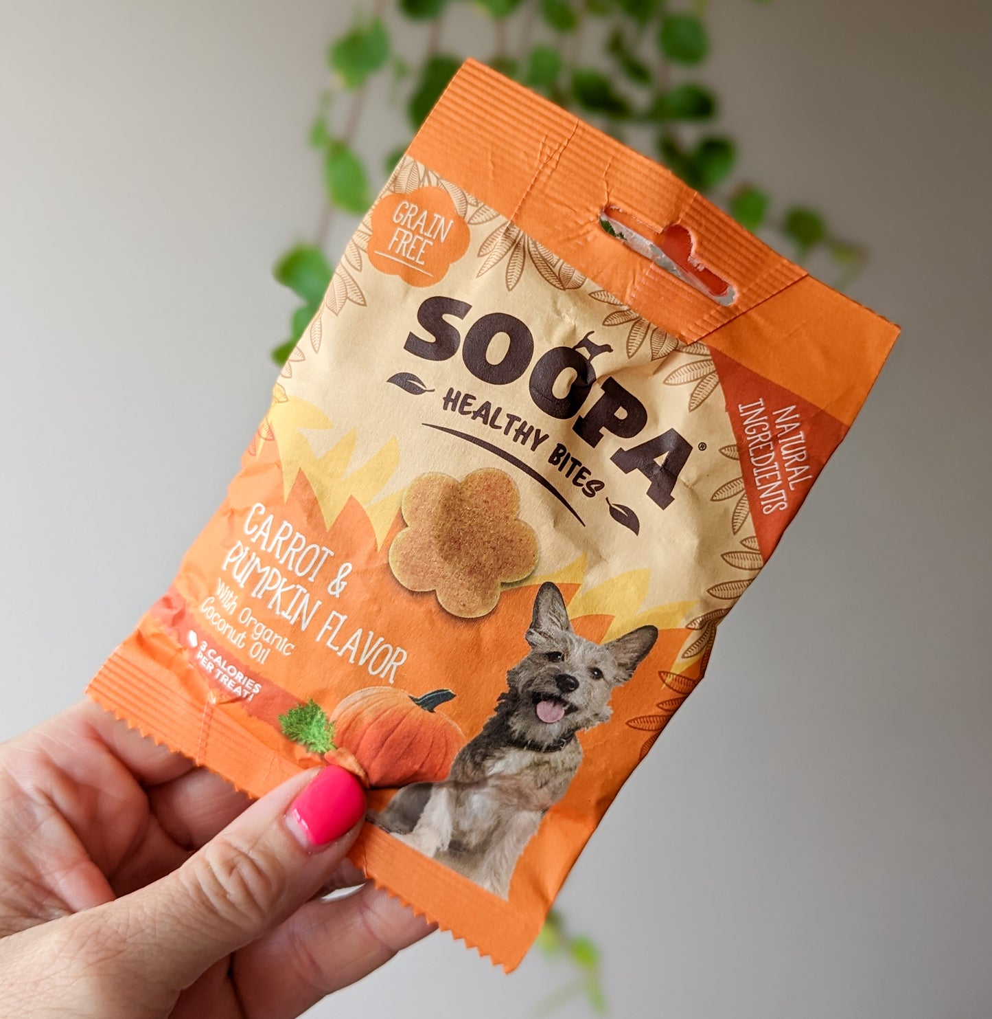 Soopa Healthy Bites | Carrot & Pumpkin