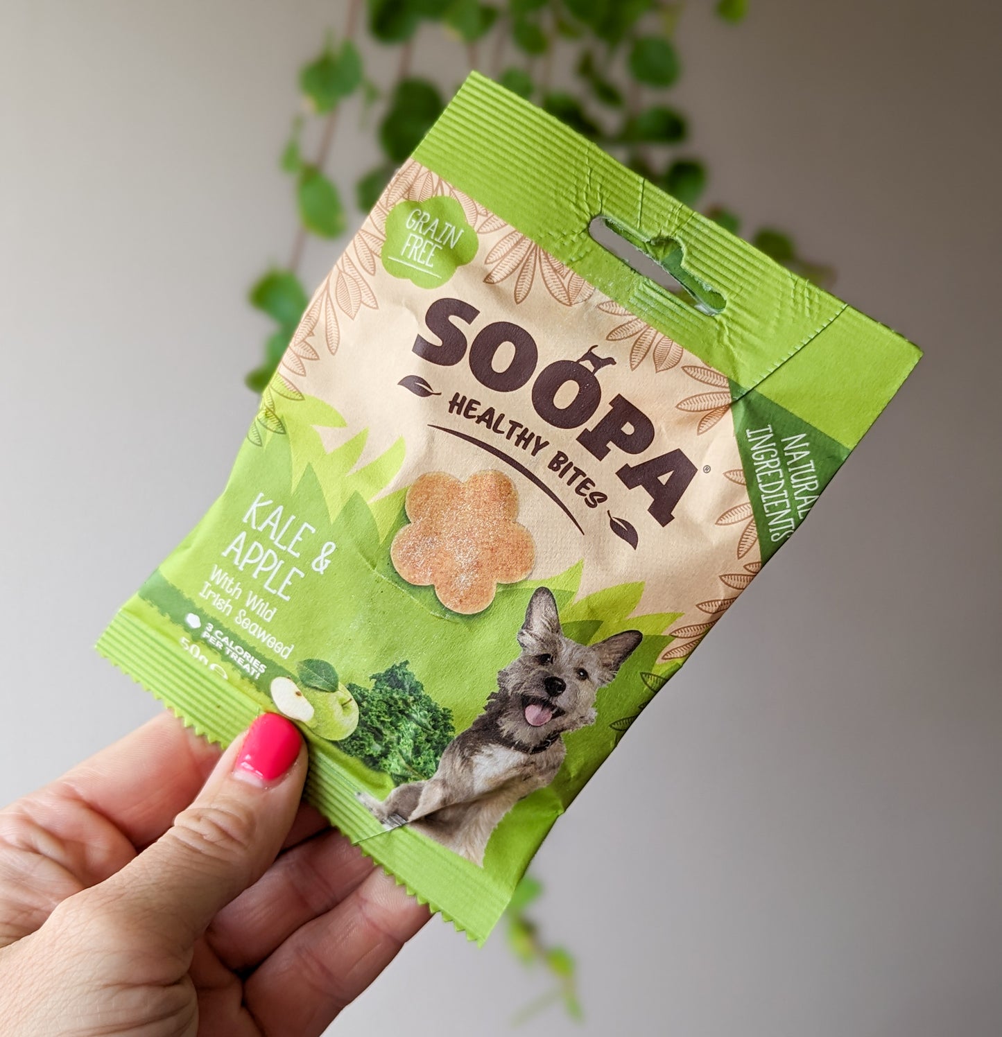 Soopa Healthy Bites | Kale & Apple