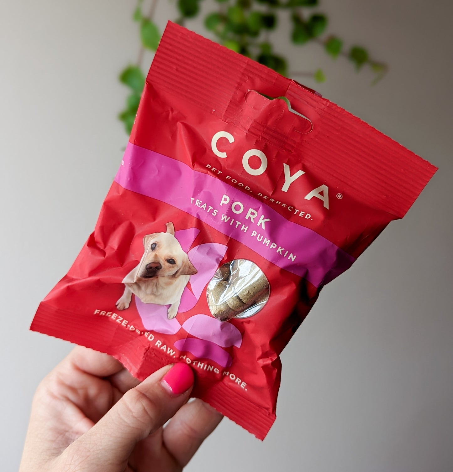 Coya Freze-Dried Raw Treats | Pork & Pumpkin