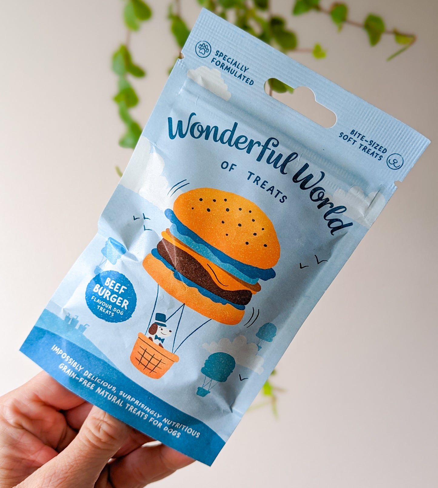 Wonderful World Of Treats | Beef Burger