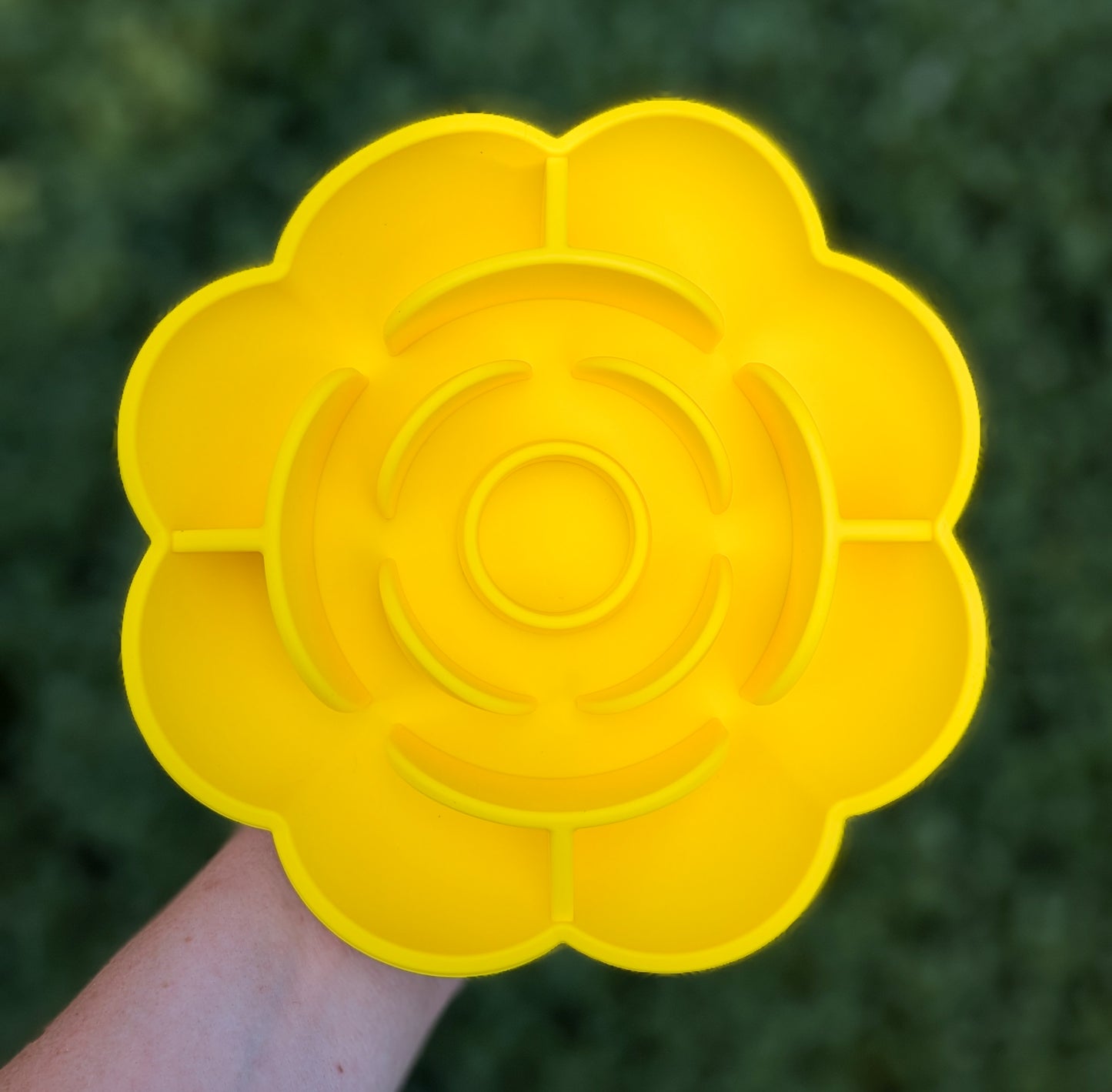 "In Bloom" Enrichment Bowl | Sunshine