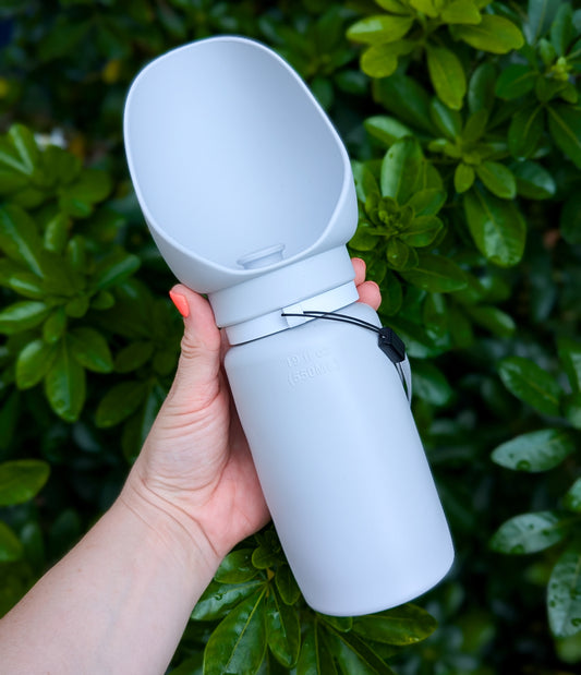 Collapsible Travel Water Bottle