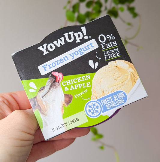 Yowup! Frozen Yogurt | Chicken & Apple