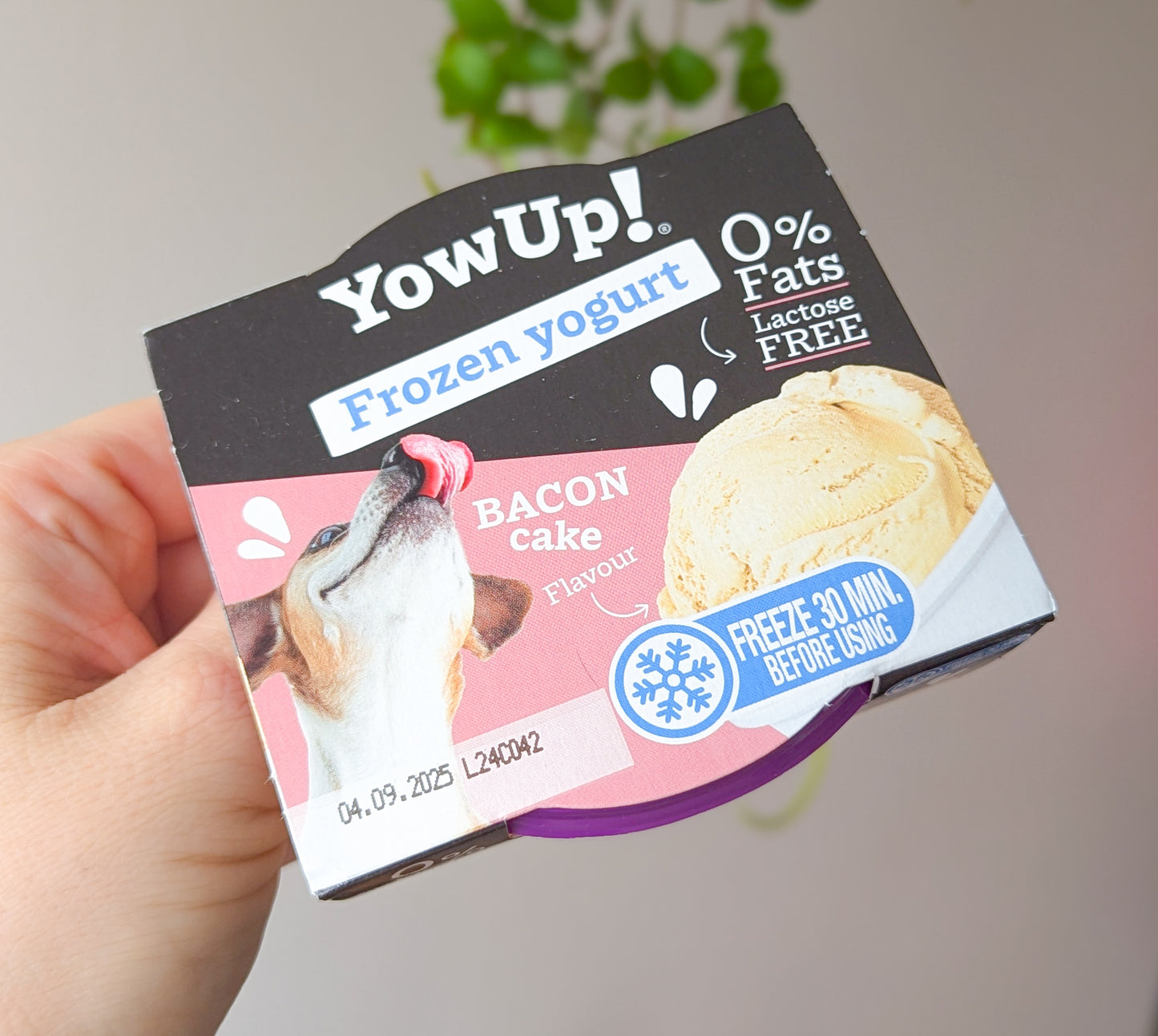 Yowup! Frozen Yogurt | Bacon Cake