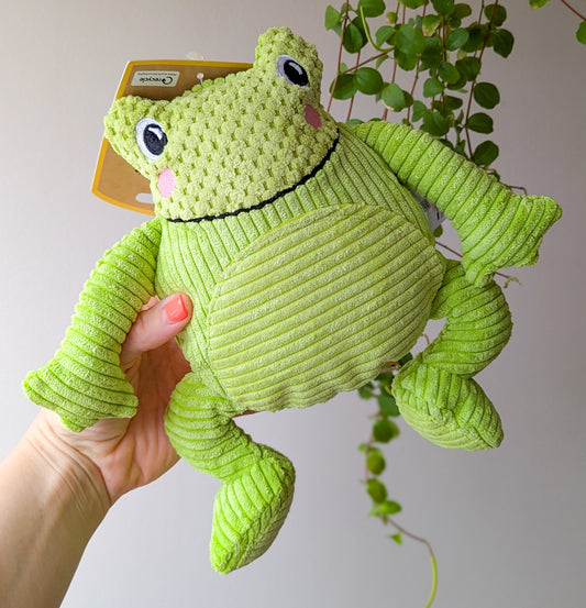 Squeaky Cheeky Soft & Cuddly Frog Toy