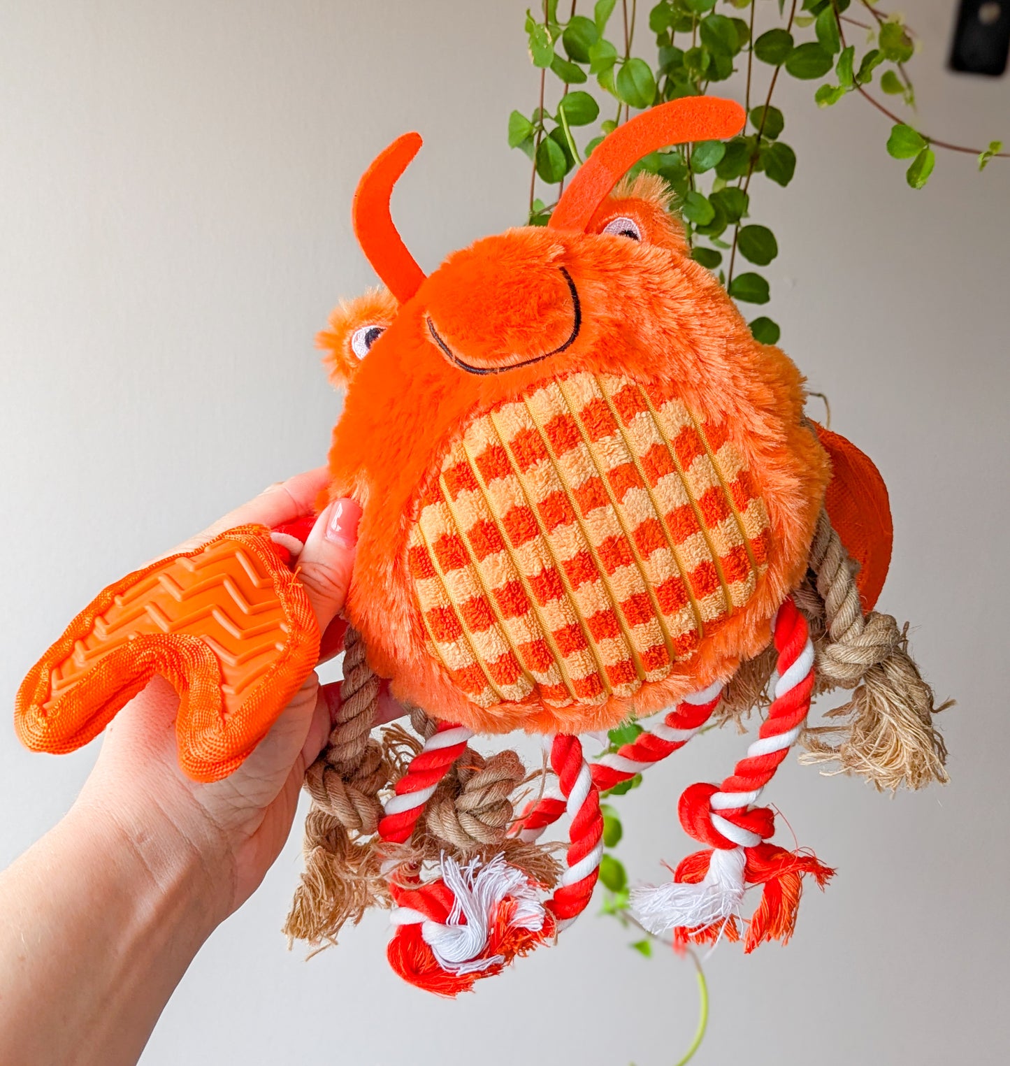 "Under The Sea" Multi Sensory Crab Toy