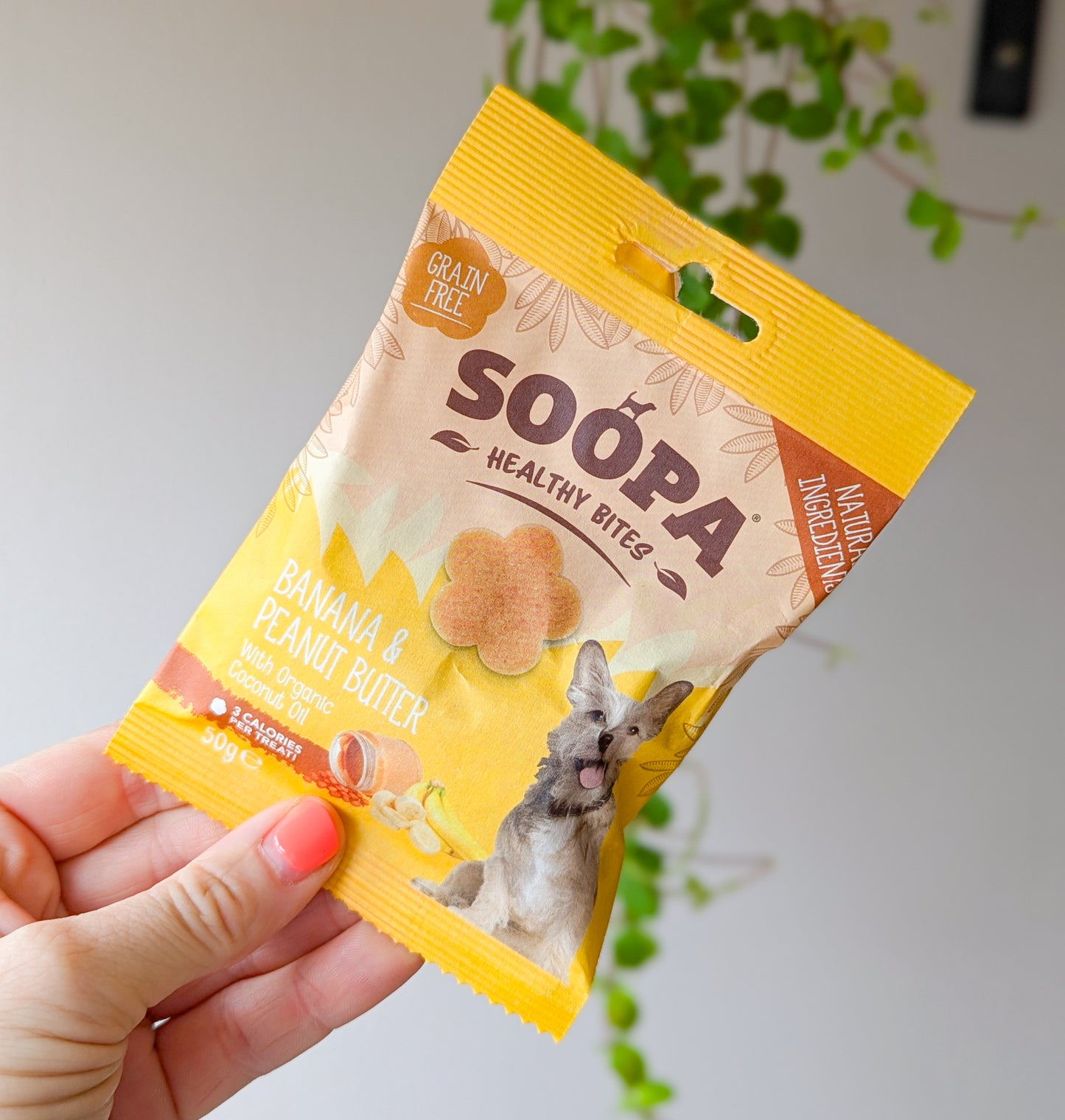 Soopa Healthy Bites | Banana & Peanut Butter