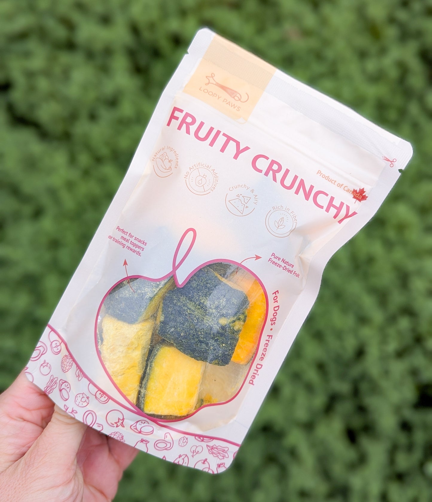 Loopy Paws | Fruity Crunchy Freeze-Dried Kabocha Pumpkin